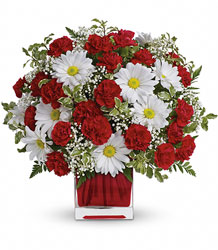Red And White Delight in Pittsburgh from Parkway Florist in Pittsburgh PA